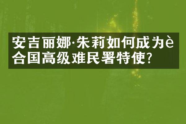 安吉丽娜&middot;朱莉如何成为联合国高级难民署特使？