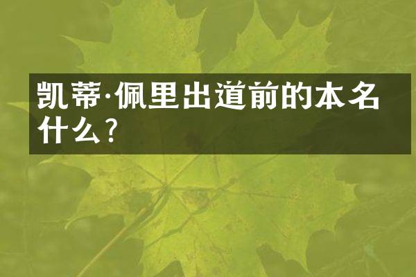 凯蒂&middot;佩里出道前的本名是什么？