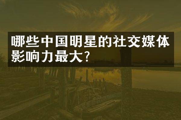 哪些中国明星的社交媒体影响力最大？