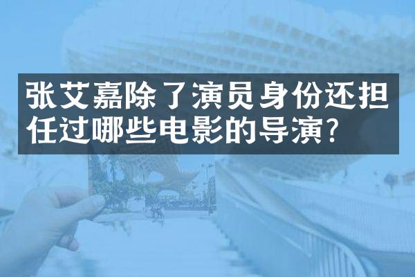 张艾嘉除了演员身份还担任过哪些电影的导演？