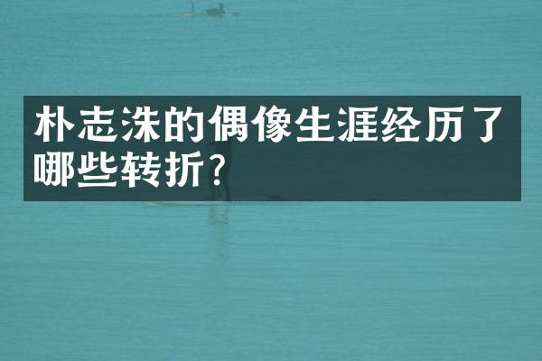朴志洙的偶像生涯经历了哪些转折？