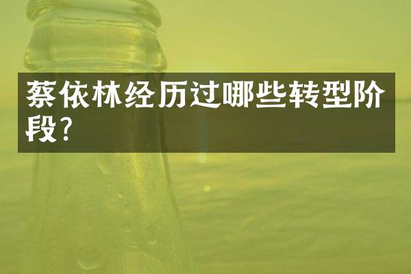 蔡依林经历过哪些转型阶段？