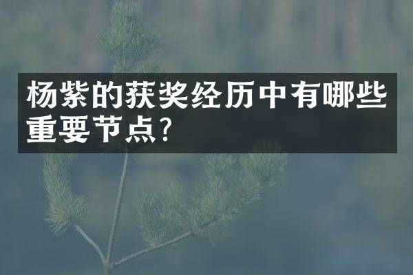 杨紫的获奖经历中有哪些重要节点？