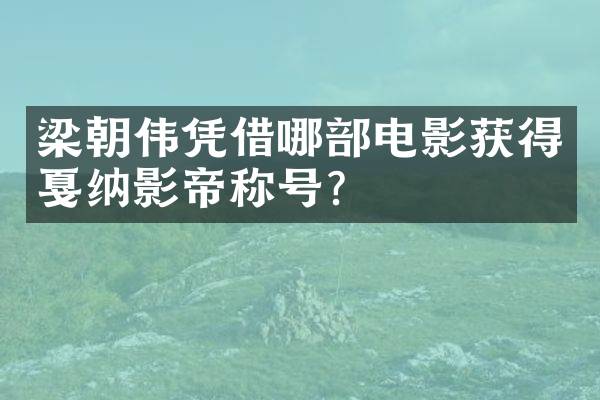 梁朝伟凭借哪部电影获得戛纳影帝称号？