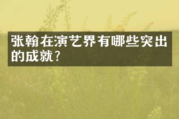 张翰在演艺界有哪些突出的成就？