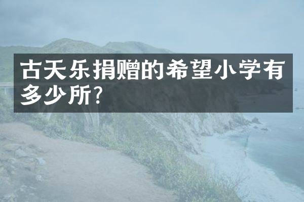 古天乐捐赠的希望小学有多少所？