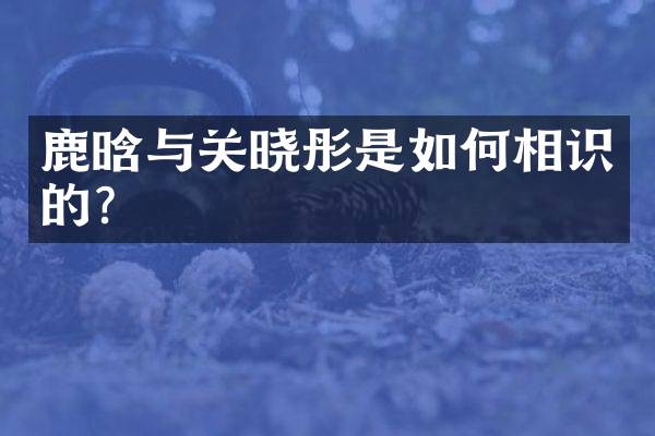 鹿晗与关晓彤是如何相识的？