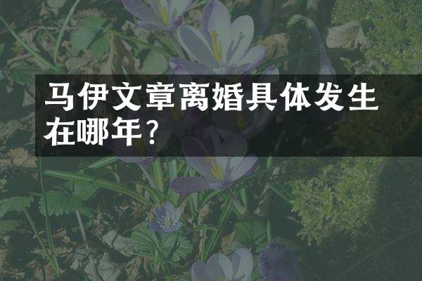 马伊琍文章离婚具体发生在哪年？