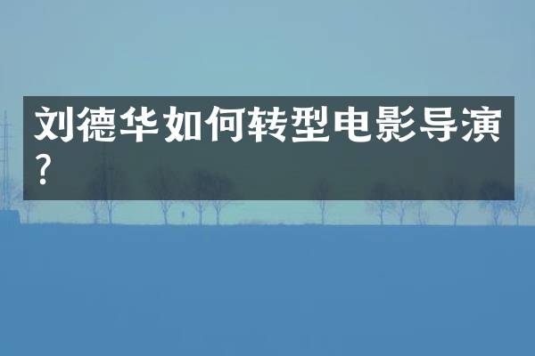 刘德华如何转型电影导演？