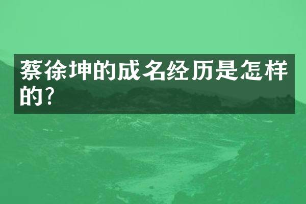 蔡徐坤的成名经历是怎样的？