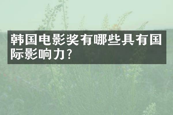 韩国电影奖有哪些具有国际影响力？