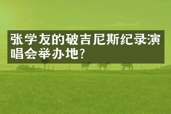 张学友的破吉尼斯纪录演唱会举办地？