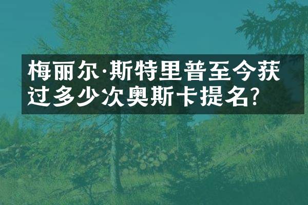 梅丽尔&middot;斯特里普至今获得过多少次奥斯卡提名？