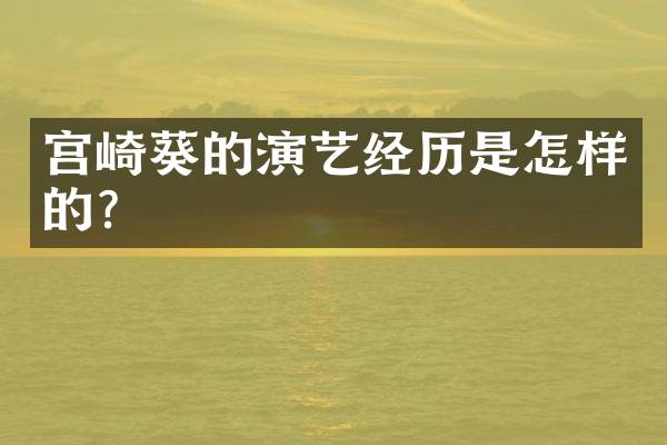 宫崎葵的演艺经历是怎样的？