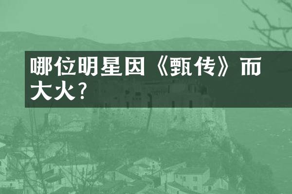 哪位明星因《甄嬛传》而大火？
