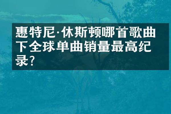 惠特尼&middot;休斯顿哪首歌曲创下全球单曲销量最高纪录？